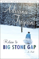 Home_to_Big_Stone_Gap___a_novel